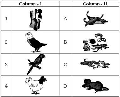 Question Bank for 3rd Class Science Birds Birds 