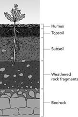Image result for Soil consists of layers. Layers of soil are called horizons. The various layers of soil are