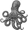 Octopus PNG clipart images free download | PNGGuru