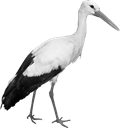Image result for stork png
