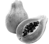 Image result for papaya png